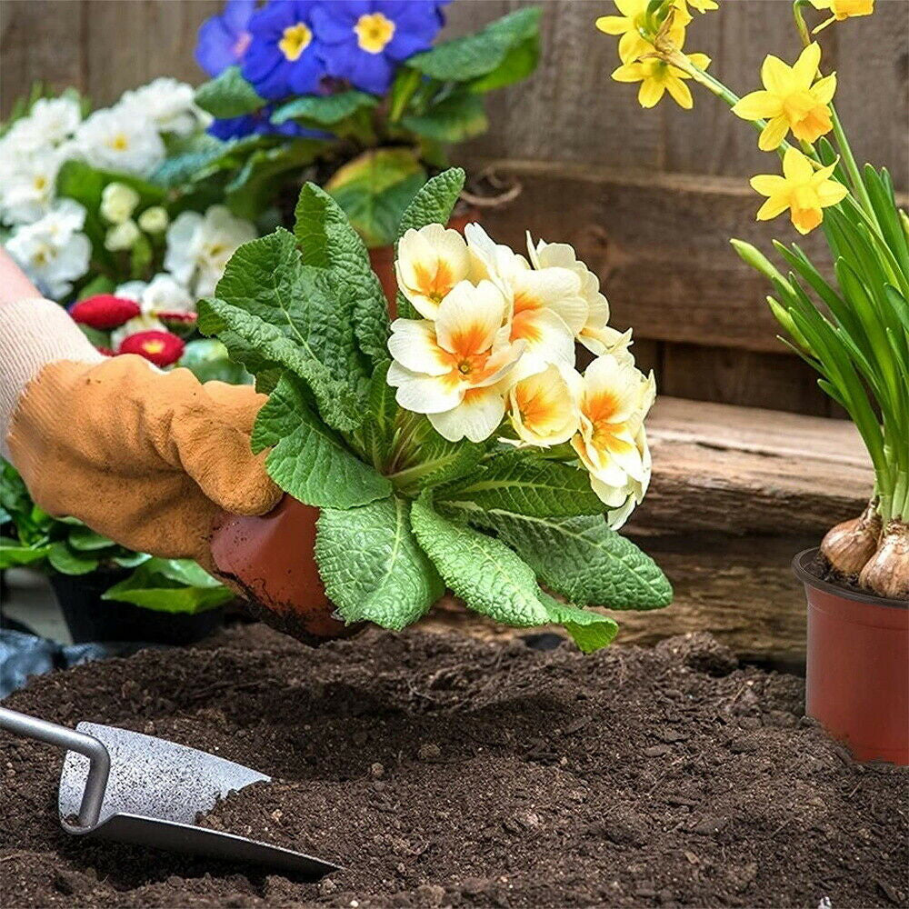 100Pcs Plant Flower Pots