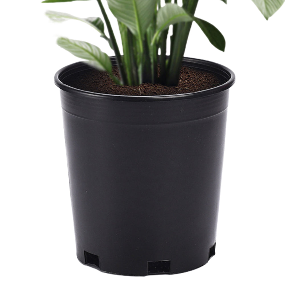 20Pcs Plant Flower Pots