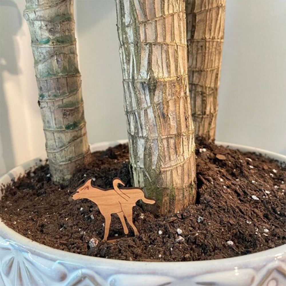 Two Sets of Funny Garden Stakes Plant Markers Decor