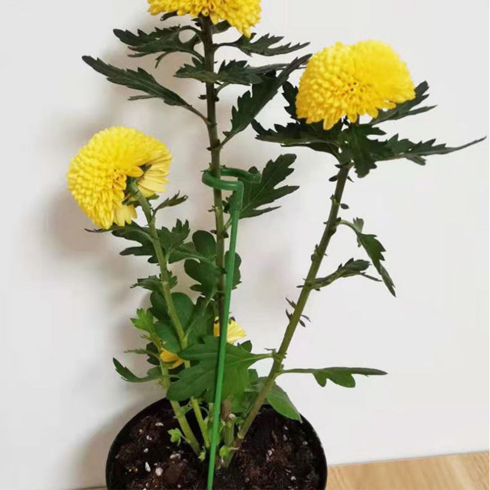 10Pcs 17cm Single Stem Flower Plant Support Stakes Support Rings