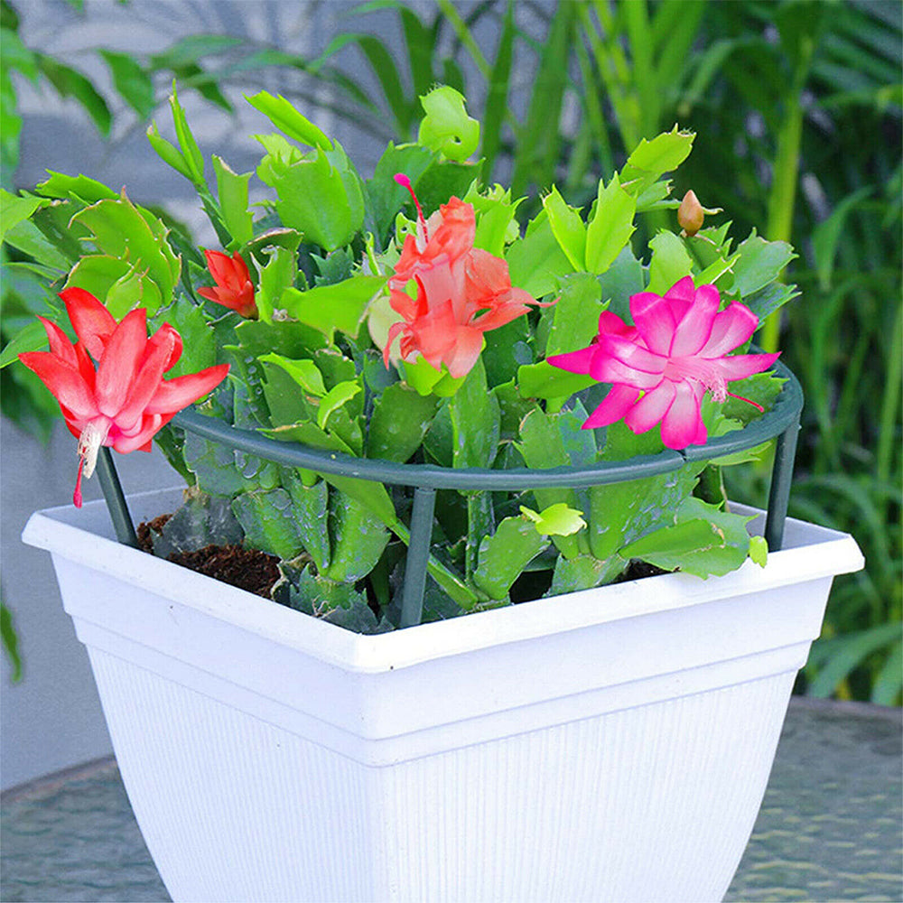 4 Sets of 15cm Climbing Plant Support Stakes Support Rings