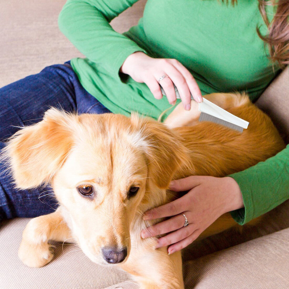 3 X Dog Flea Comb Pet Grooming Combs Shedding Hair Remove Brush