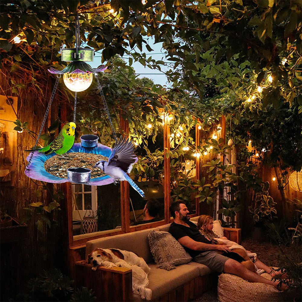 Hanging Iron Wrought Bird Feeder with Solar Light