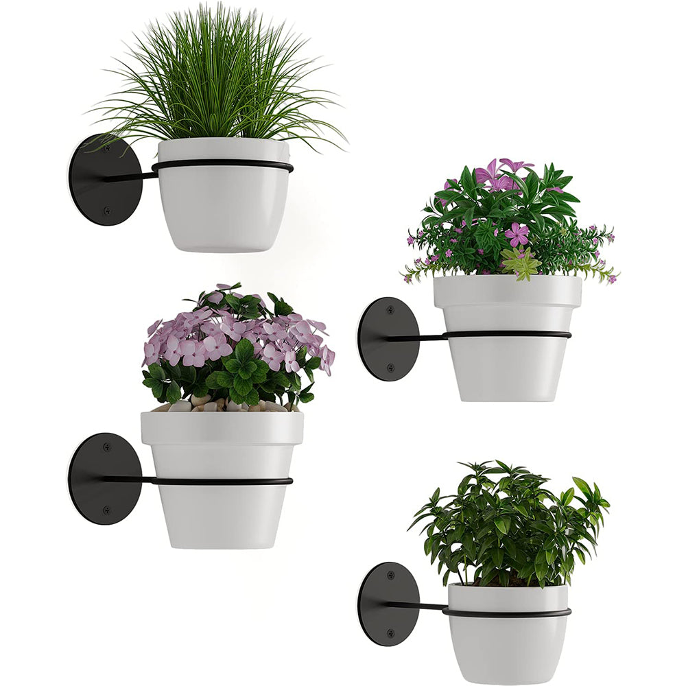 2Pcs 20cm Wall Mounted Ball Rack Holder Plant Flower Pot Display Storage Tool