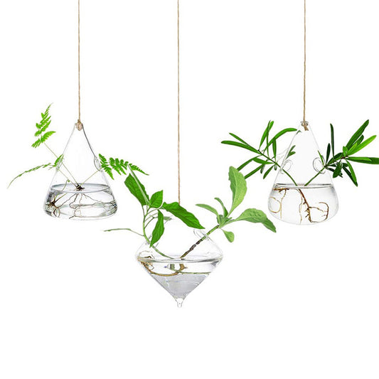 3Pcs Glass Hanging Planters Containers Flower Pots