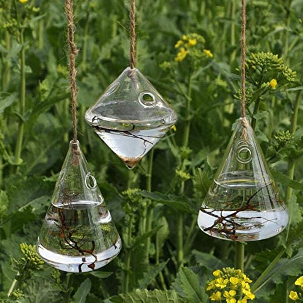 3Pcs Glass Hanging Planters Containers Flower Pots