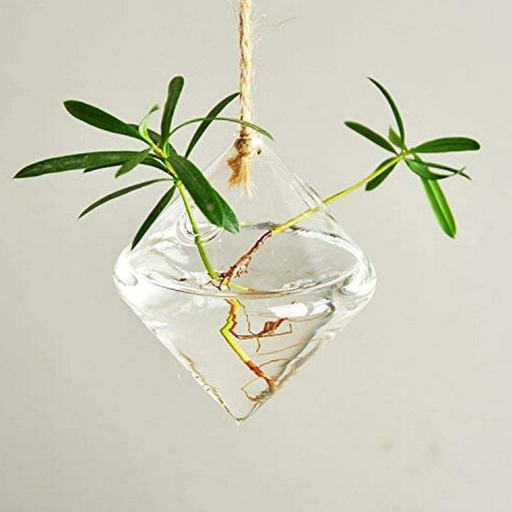 3Pcs Glass Hanging Planters Containers Flower Pots