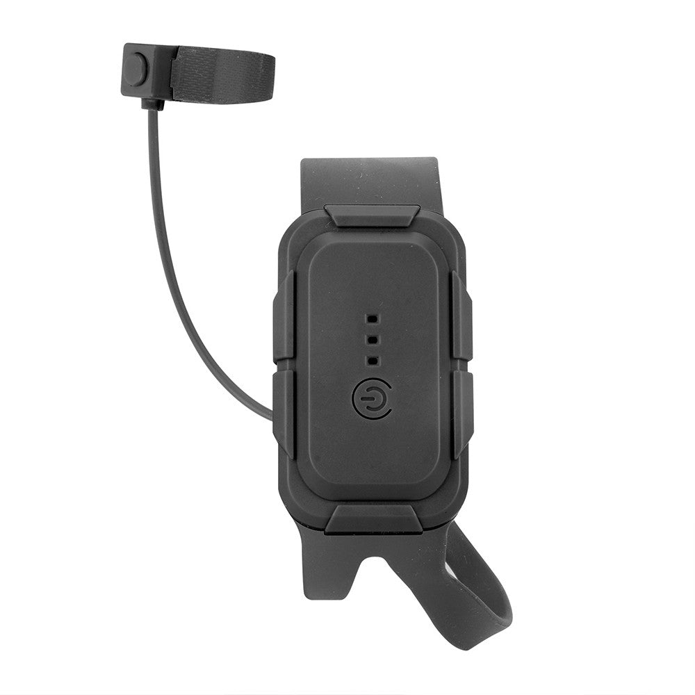 Kids RC Electric Walking Dinosaur Toy with Light Up and Roaring Sound Dark Brown