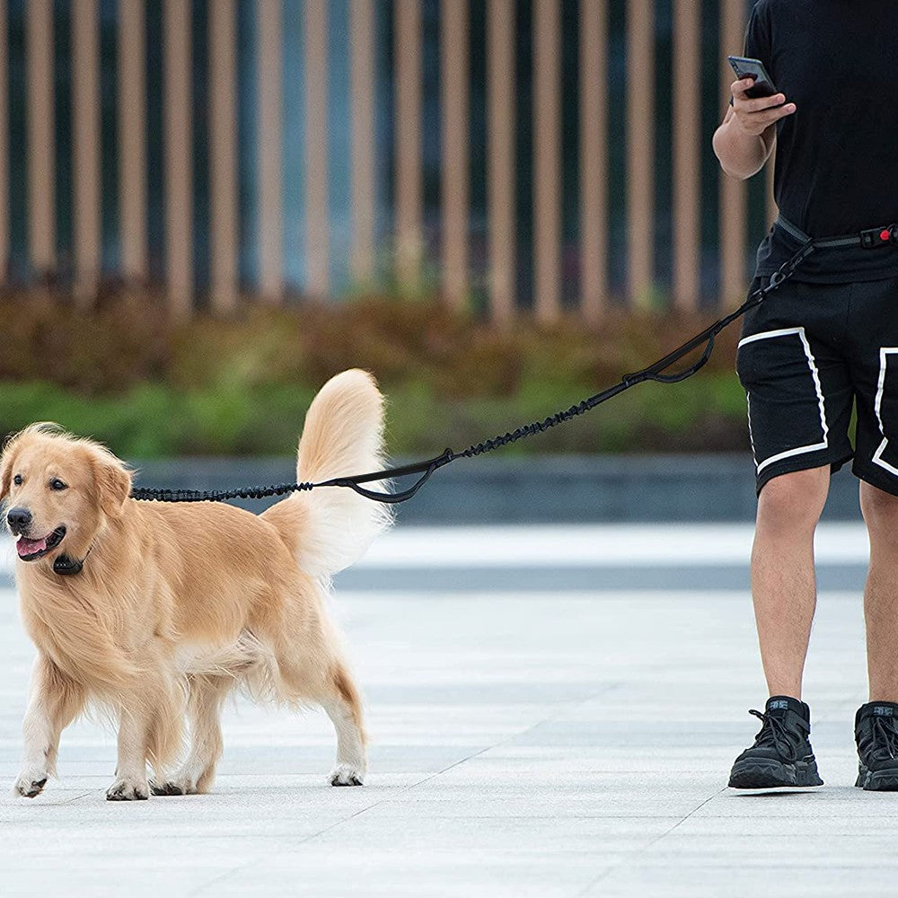 Waist Bag and Adjustable Pet Dog Leash Set for Jogging Running Walking Black