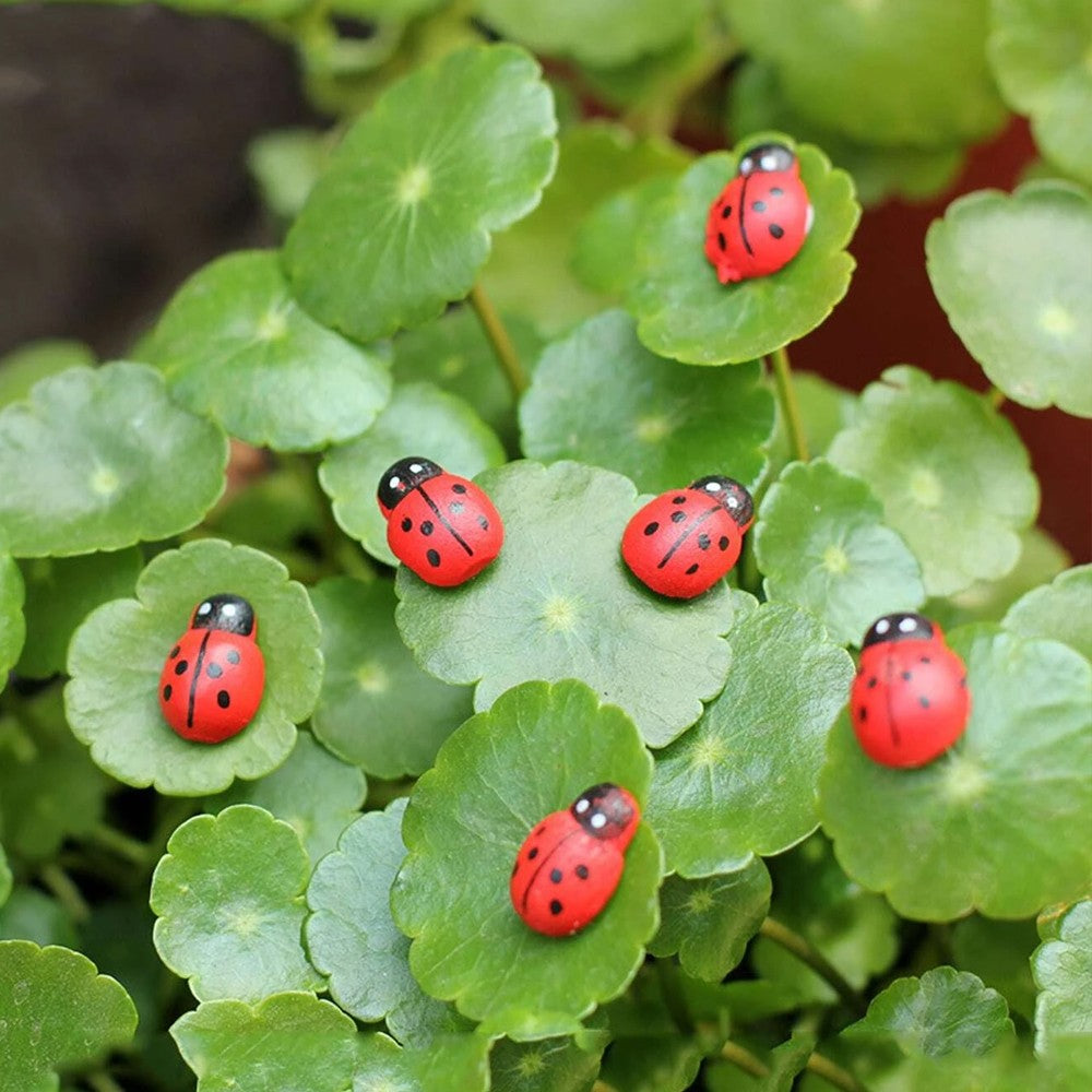 100Pcs DIY Miniatures Ladybug Statue Figurines Garden Bonsai Landscape Decor