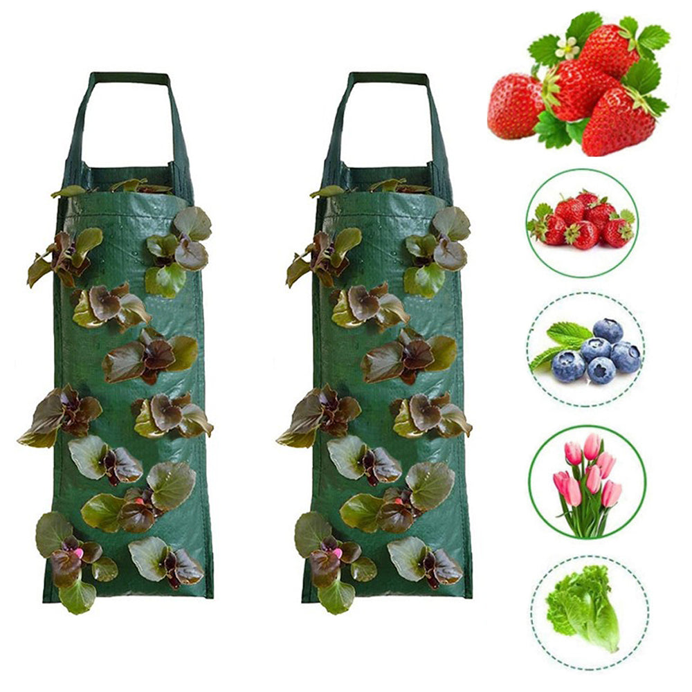 2Pcs 10 Holes Hanging Plant Grow Bag PE Hanging Strawberry Bags Herbs Growing Bag