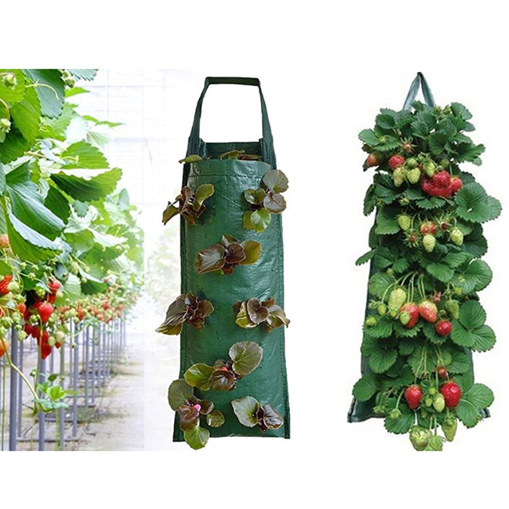 4Pcs 10 Holes Hanging Plant Grow Bag PE Hanging Strawberry Bags Herbs Growing Bag
