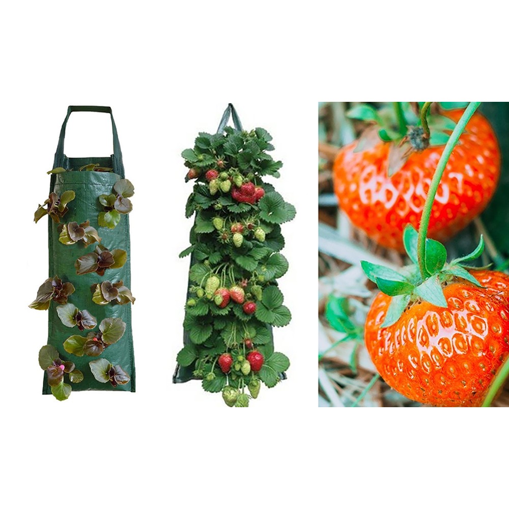 4Pcs 10 Holes Hanging Plant Grow Bag PE Hanging Strawberry Bags Herbs Growing Bag