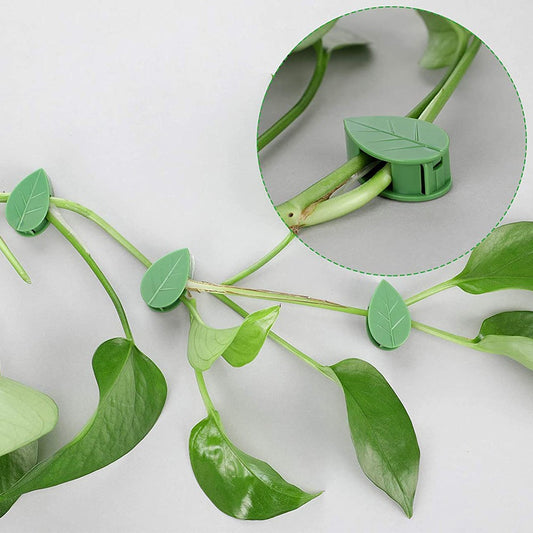 10Pcs Self Adhesive Plant Climbing Wall Fixture Clips Invisible Vines Traction Hook Plant Support Clip for Climbing Plant