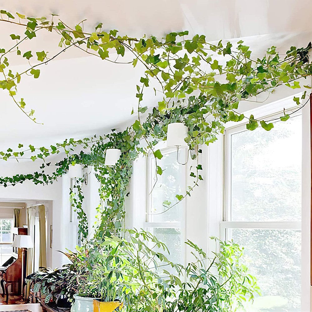 10Pcs Self Adhesive Plant Climbing Wall Fixture Clips Invisible Vines Traction Hook Plant Support Clip for Climbing Plant