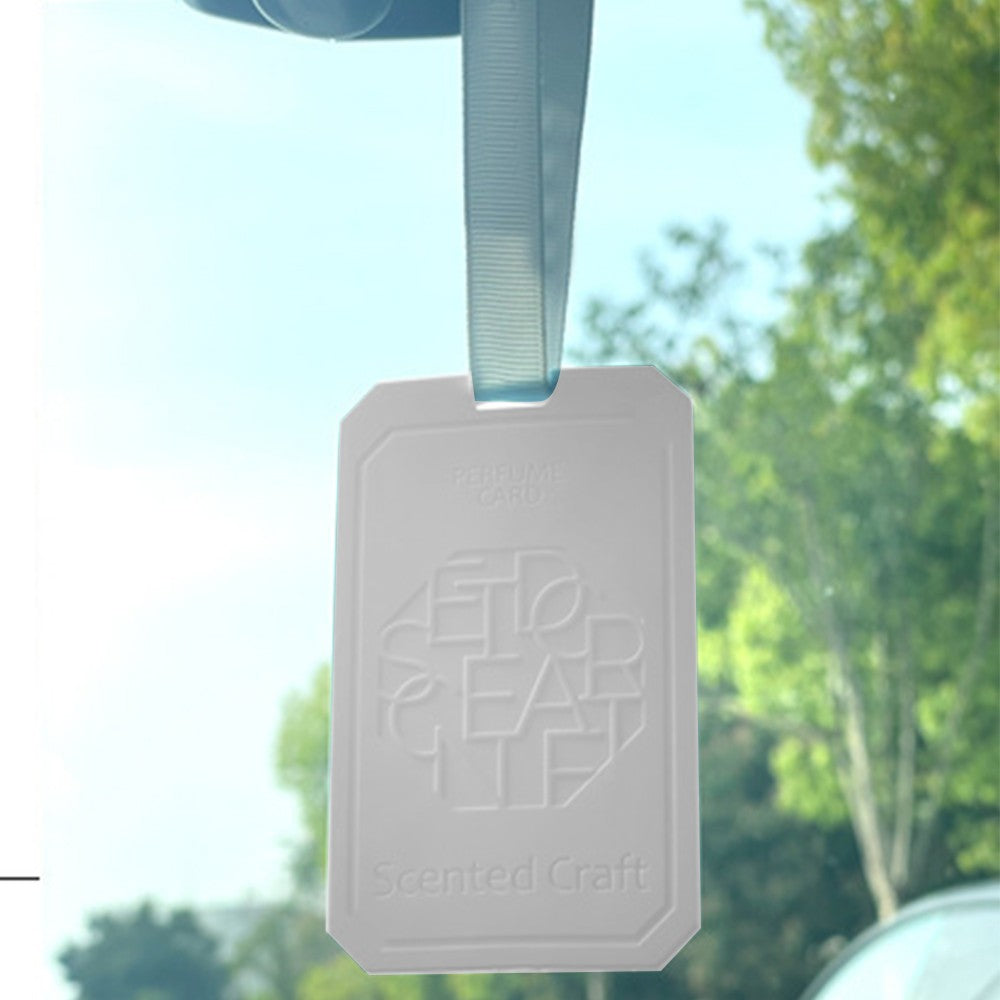 2 X Hanging EVA Wardrobe Aromatherapy Tablets Car Air Freshener Incense Tablets with Lanyard Blue + White