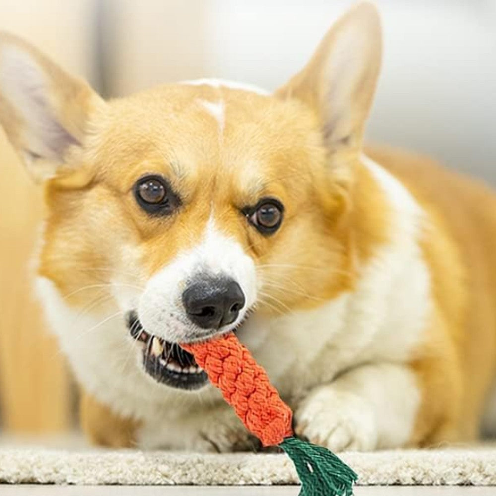 18Pcs Dog Chew Toys Set Dog Squeaker Toys Pet Teething Toy Interactive Dog Toys