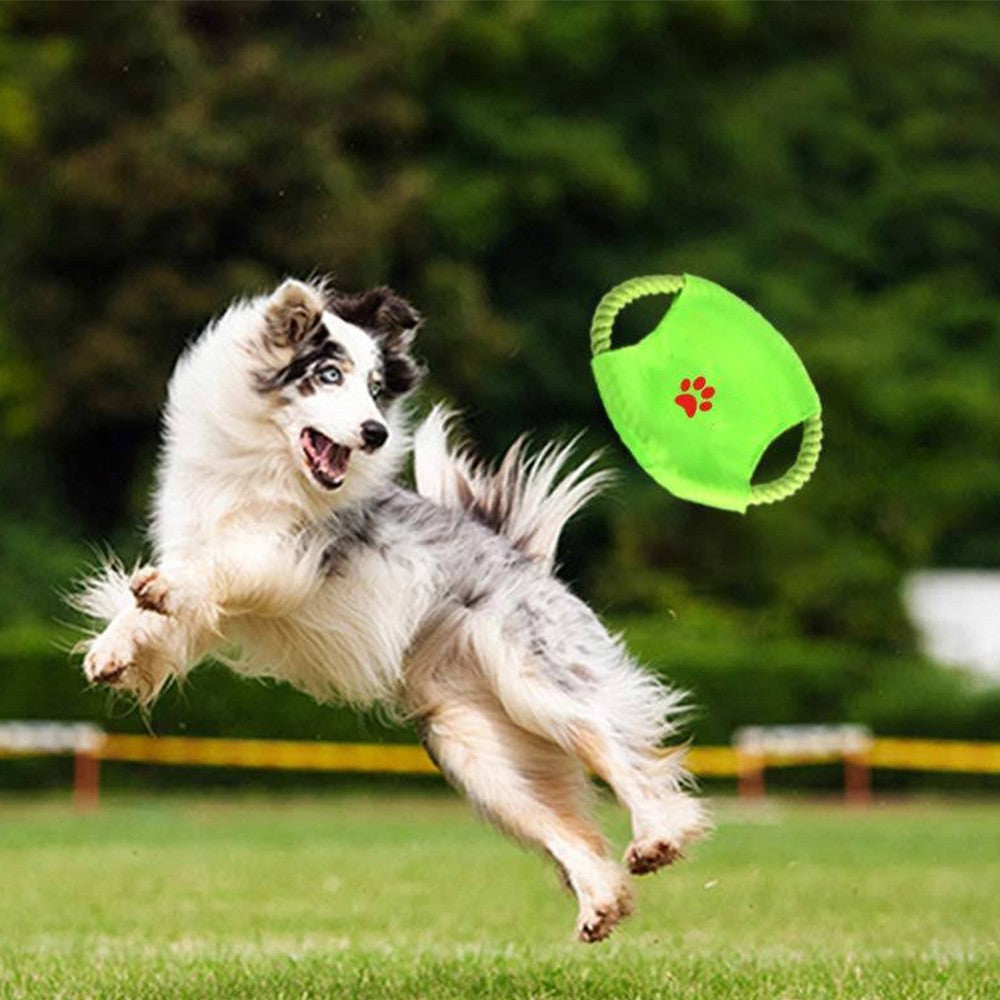 18Pcs Dog Chew Toys Set Dog Squeaker Toys Pet Teething Toy Interactive Dog Toys