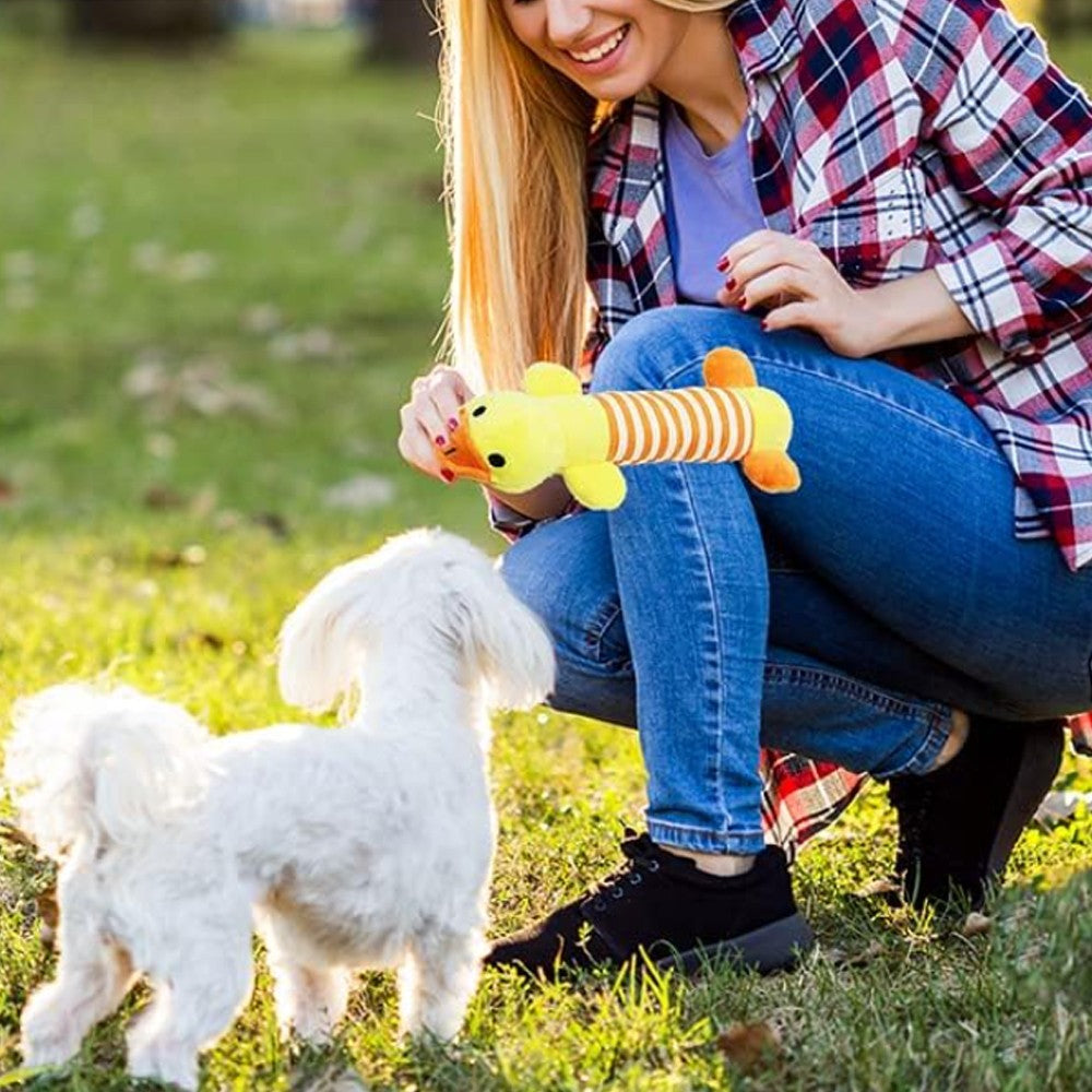 18Pcs Dog Chew Toys Set Dog Squeaker Toys Pet Teething Toy Interactive Dog Toys