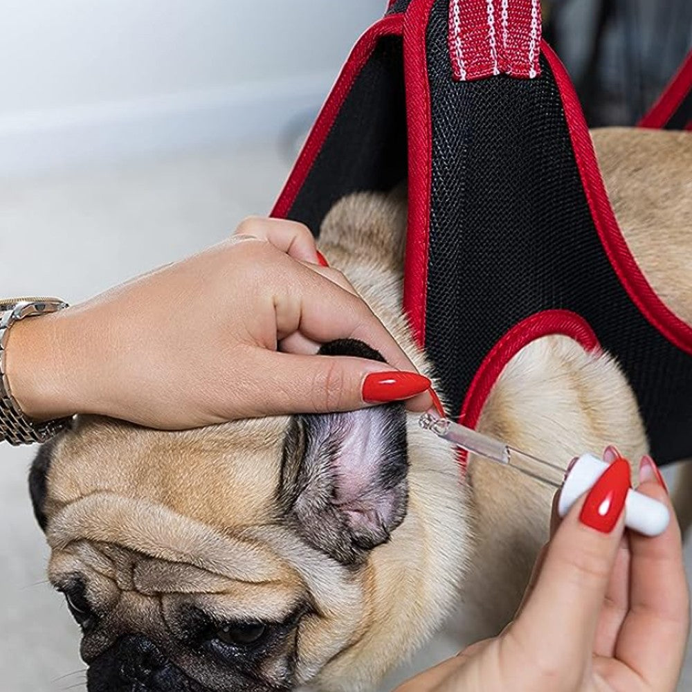 Pet Grooming Hammock Harness Set Pet Grooming Helper for Nail Trimming Black M