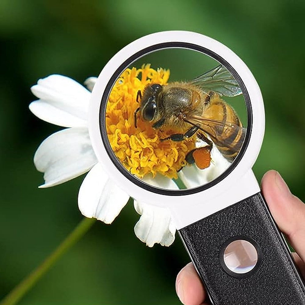 3.5X 25X Reading Magnifying Glass Handheld Standing Illuminated Magnifier