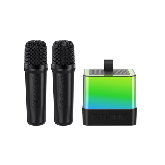 Mini Karaoke Machine Bluetooth Speaker with 2 Wireless Microphones - Black