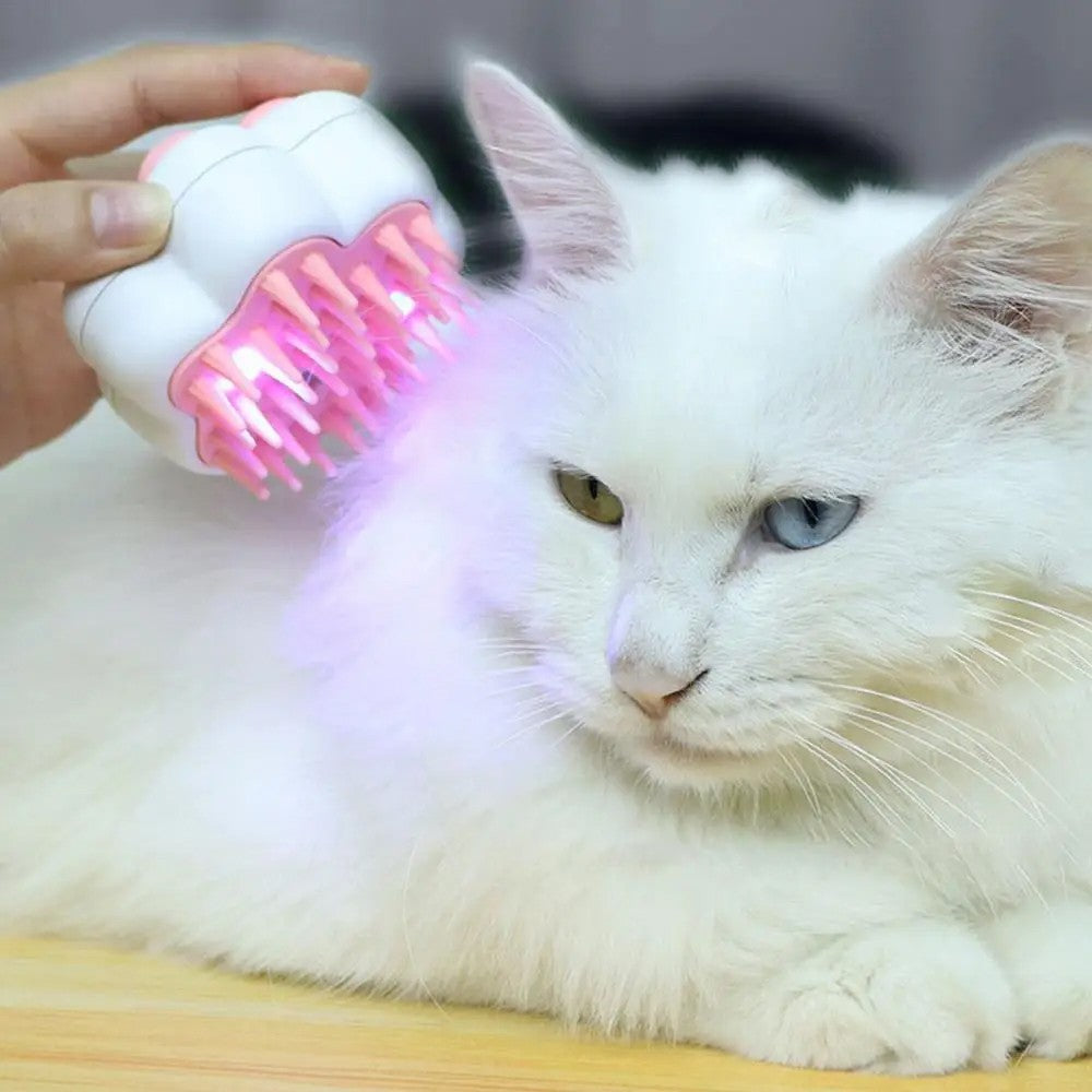 Spray Cat Hair Brush Pet Massage Comb USB Rechargeable with UV Light - White