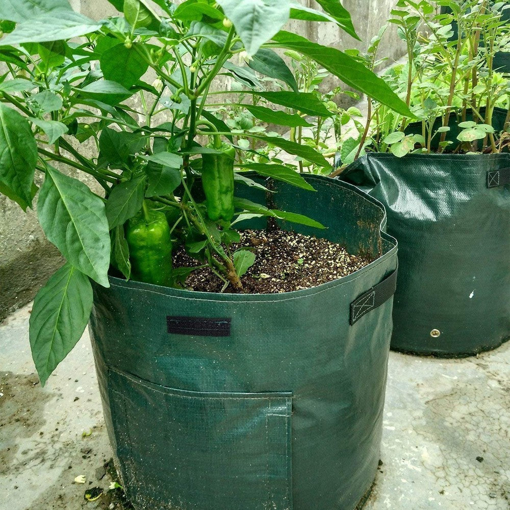 4X 50L Potato Planter Bags