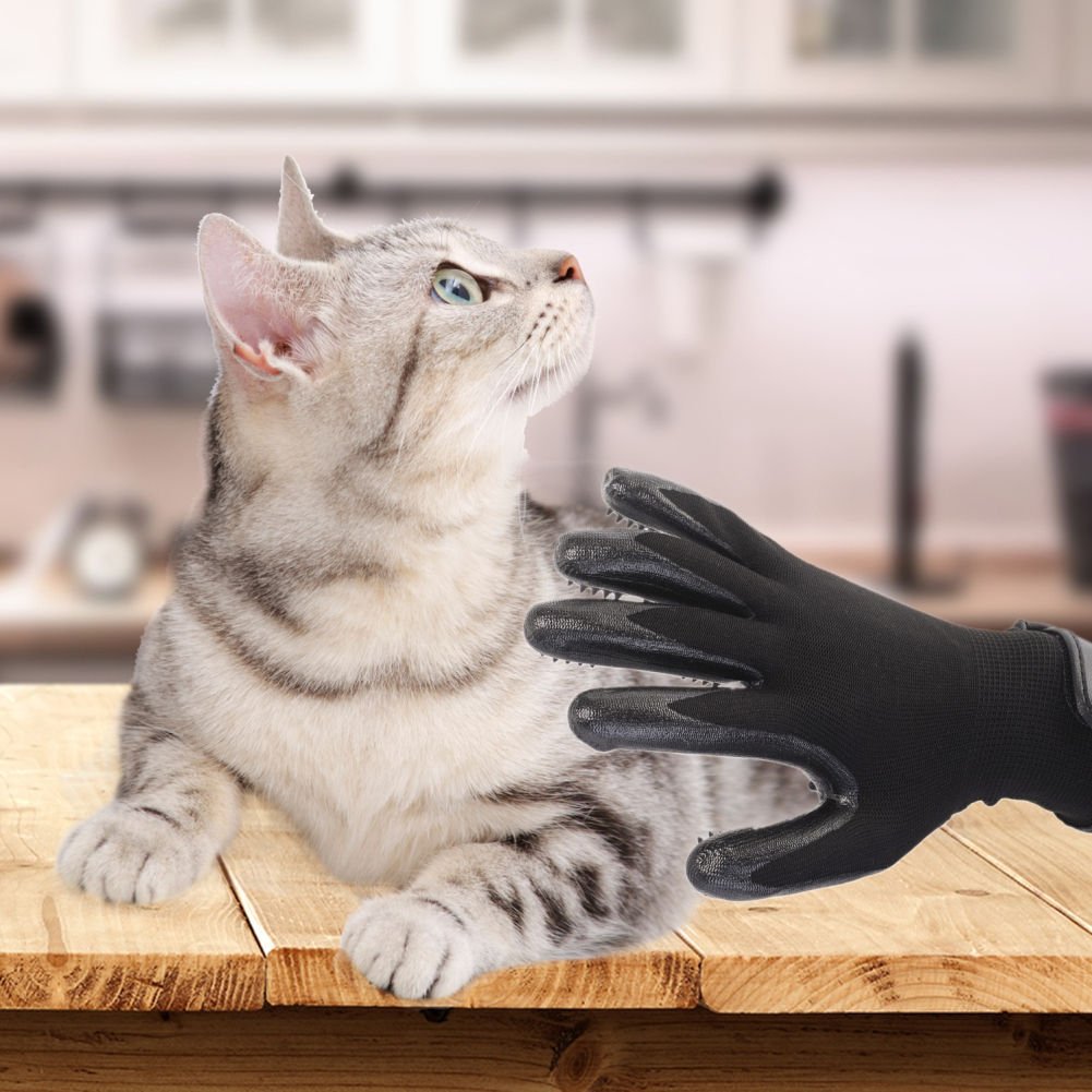 2 Pairs of Massaging Grooming Gloves